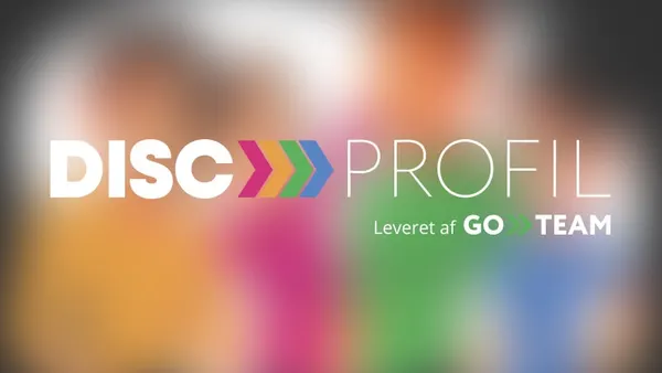 DISC Profil leveret af GoTeam - Danmarks førende udbyder af DISC-profiler.