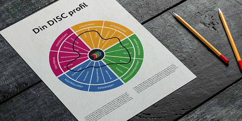 Fokus på at bruge en DISC-profil i en faglig og målrettet teamworkshop på arbejdspladsen.